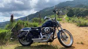 HARLEY DAVIDSON SPORTER BLUE PEARL 2013 full paper , tersedia melalui melalui situs Jualmotorbekas