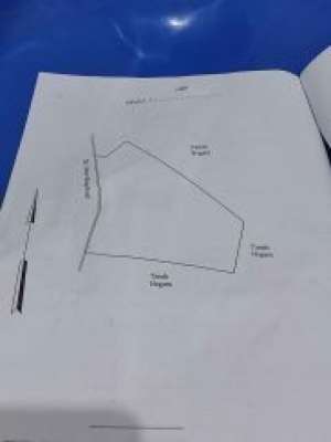 Tanah Luas termurah se Kota Pematangsiantar lokasi di Siantar Sitalasari, tersedia melalui melalui situs Lamudi