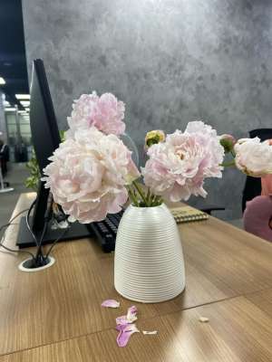 Jual mobil Nissan Almera 2024 , tersedia melalui melalui situs Cintamobil