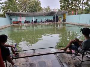 Turun Harga Jual Kolam Pemancingan Galatama Lele lokasi di Kadipaten, tersedia melalui melalui situs Olx