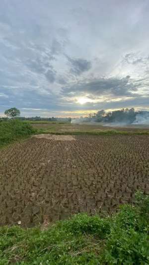 10 Menit Ke Paramount Petal. Tanah Padat Sawah Babat Legok lokasi di Legok, tersedia melalui melalui situs Olx