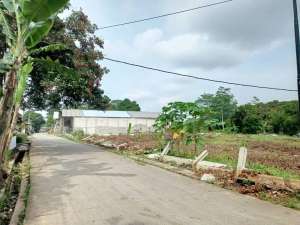 100Jt-an, Tanah Murah Cisauk Dekat Stasiun Jatake Bsd lokasi di Cisauk, tersedia melalui melalui situs Olx