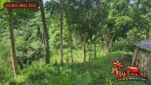 Affordable 1,800 sqm Green Lush condition in Ubud Tegalalang lokasi di Tegallalang, tersedia melalui melalui situs Olx
