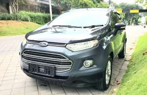 Jual bekas ANTIK ORS Ford EcoSport Titanium 2015 Matic ISTIMEWA Spt Bsru,lokasi di 