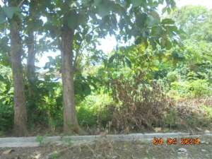 Aset BTN Solo Tanah Kosong di Pandeyan Grogol - Boyolali lokasi di Sukoharjo, tersedia melalui melalui situs Olx