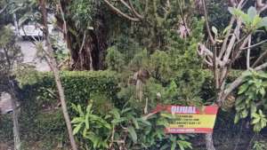 Di jual cepat kapling kopo mas regency lokasi di Babakan Ciparay, tersedia melalui melalui situs Olx