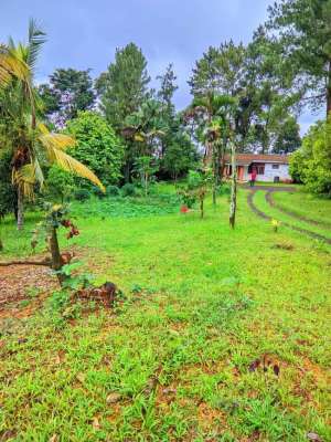 di jual rumah kebun subur view gunung di gunung geulis golf lokasi di Sukaraja, tersedia melalui melalui situs Olx