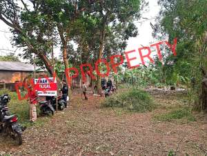 Di Jual Tanah Di Pondok Cabe Belakang SouthCity dan Moderen Hill lokasi di Pamulang, tersedia melalui melalui situs Olx