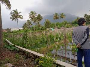 Di jual tanah sawah Luas 4.000m2, Babakan Sari Tanjung Kamuning lokasi di Tarogong Kaler, tersedia melalui melalui situs Olx