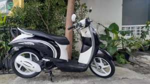 Jual bekas DICARI.. scoopy 2017 up 2018 genio 2019 up 2020 fi 2021 esp 2022 beat,lokasi di Gondokusuman