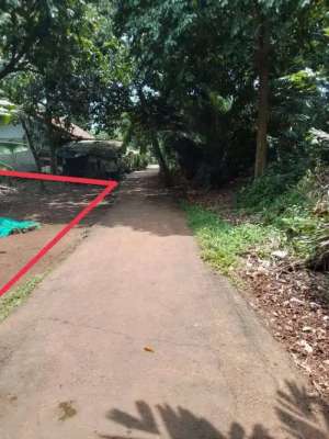 Dijual CEPAT Tanah Pekarangan 100m Dekat Pertigaan Cibucil Jonggol lokasi di Jonggol, tersedia melalui melalui situs Olx