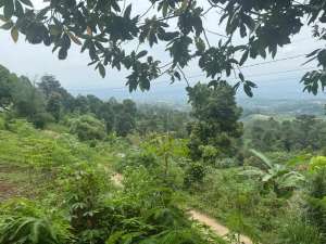 Dijual Cepat Tanah Strategis 1266m2 di Cijeruk, dekat dengan BNR lokasi di Cijeruk, tersedia melalui melalui situs Olx