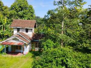 Dijual Kebun DurianKopi Bonus Rumah Lokasi Limbangan Boja lokasi di Limbangan, tersedia melalui melalui situs Olx