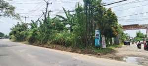 Dijual Lahan Komersil Lebar depan 200meter lokasi di Solear, tersedia melalui melalui situs Olx