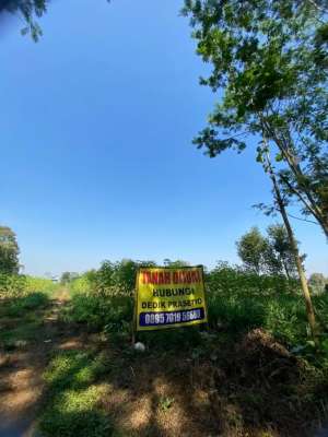 DIJUAL LelangTanah di area Citraland Malang lokasi di HR Muhammad, tersedia melalui melalui situs Olx