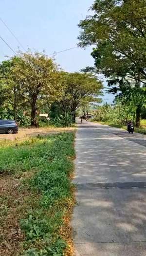 Dijual MURAH Tanah Darat 1,5ha Nempel Jalan Nasional Cikalong Cianjur lokasi di Cikalongkulon, tersedia melalui melalui situs Olx