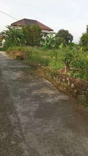 Dijual Tanah 1638m2 SHM di Ciapus Bogor By Rumah Chinida lokasi di Ciomas, tersedia melalui melalui situs Olx