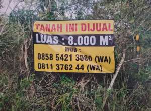 Dijual tanah 8000 m lokasi di Cimerak, tersedia melalui melalui situs Olx
