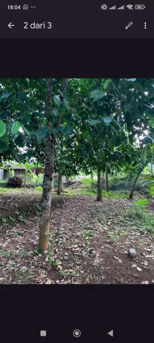 DIJUAL TANAH ANYER BANTEN lokasi di Anyar, tersedia melalui melalui situs Olx