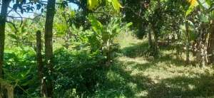 Dijual Tanah Beller jalan MT Haryoni Balikpapan lokasi di Balikpapan Kota, tersedia melalui melalui situs Olx