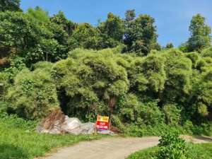Dijual tanah Cijeruk Bogor lokasi di Cijeruk, tersedia melalui melalui situs Olx