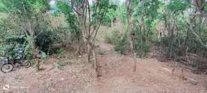 dijual tanah dekat perumahan beranda bukit Kutuh Badung Bali lokasi di Ungasan, tersedia melalui melalui situs Olx