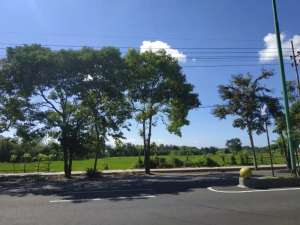 Dijual Tanah depan jalan Gajahmada Giri Banyuwangi lokasi di Giri, tersedia melalui melalui situs Olx