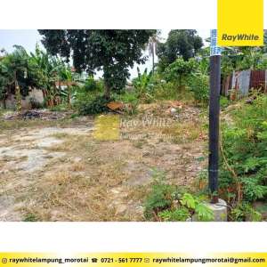 Dijual Tanah di Kedamaian, Bandar Lampung Kode YOK 3144 lokasi di Kedamaian, tersedia melalui melalui situs Olx