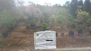 Dijual - Tanah di pinggir jalan Ringroad 3, Jl. Mh Ardhan Samarinda lokasi di Samarinda Utara, tersedia melalui melalui situs Olx