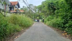 Dijual Tanah isi Bangunan Rumah dikawasan elite Jalan Dewi Madri Renon lokasi di Denpasar Selatan, tersedia melalui melalui situs Olx