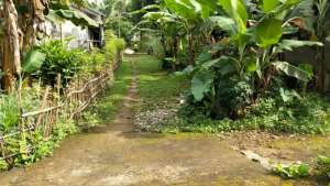 Dijual Tanah Kavling Gg. Panzer Gunung Putri lokasi di Gunung Putri, tersedia melalui melalui situs Olx