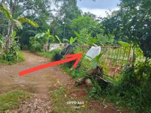 Dijual Tanah Kebun samping perumahan Citra Elok Jonggol Bogor lokasi di Jonggol, tersedia melalui melalui situs Olx