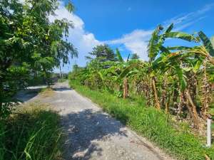 Dijual Tanah Komersil Lokasi Jalan Pantai Brawa Canggu lokasi di Kuta Utara, tersedia melalui melalui situs Olx