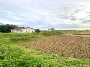 Dijual Tanah Padat Sawah 935 m2 Hadap Timur di Legok Tangerang Banten lokasi di Legok, tersedia melalui melalui situs Olx