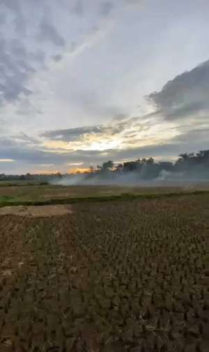 Dijual Tanah Padat Sawah Di Babat Legok Tangerang lokasi di Legok, tersedia melalui melalui situs Olx