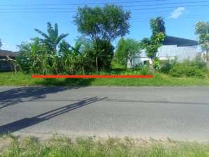 DIJUAL TANAH PEKARANGAN MANGKU JALAN UTAMA CANGKRINGAN lokasi di Kalasan, tersedia melalui melalui situs Olx