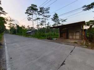 Dijual Tanah Sawah Argomulyo Cangkringan Sleman lokasi di Cangkringan, tersedia melalui melalui situs Olx