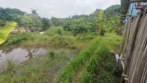 Dijual Tanah Sawah di Semplak, Bogor Barat Kota Bogor lokasi di Bogor Barat - Kota, tersedia melalui melalui situs Olx