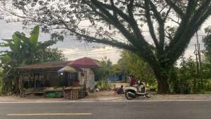 Dijual Tanah SHM 50mx800m Palangkaraya lokasi di Jekan Raya, tersedia melalui melalui situs Olx