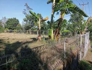 Dijual Tanah SHM Murah 760 m2 di Wanagiri Buleleng Bali lokasi di Sukasada, tersedia melalui melalui situs Olx