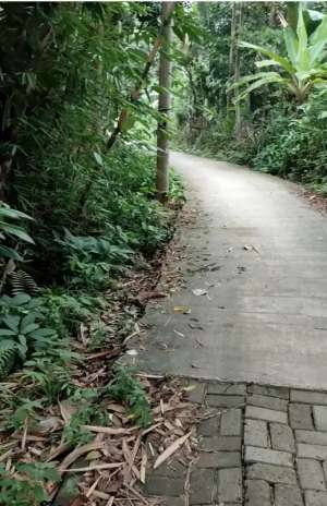 DiJual Tanah Strategis Dekat Stasiun Rangkasbitung, Akses MobilSHGB lokasi di Cibadak, tersedia melalui melalui situs Olx