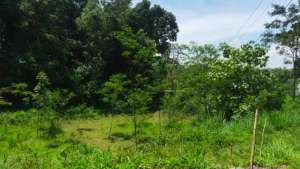 Dijual Tanah Super Murah SHM Pekarangan di Cangkringan Daerah Wisata lokasi di Cangkringan, tersedia melalui melalui situs Olx