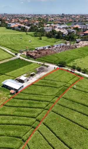 Dijual Tanah Villa Hotel Canggu Badung Bali Strategis lokasi di Kuta Utara, tersedia melalui melalui situs Olx