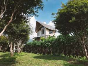 Dijual Villa Bamboo Lokasi dekat Lapangan Golf dan Danau Buyan Bedugul lokasi di Baturiti, tersedia melalui melalui situs Olx