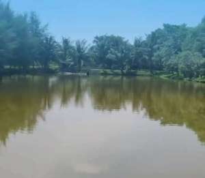 Disewakan Tambak Murah Percut Sei Tuan lokasi di Percut Sei Tuan, tersedia melalui melalui situs Olx