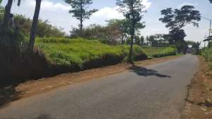 Disewakan Tanah Strategis di Poros Jl. Karang Ampel Timur, Dau Malang lokasi di Dau, tersedia melalui melalui situs Olx