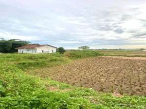 Harga Nego, Dijual Tanah Padat Sawah Legok 935m2, Tangerang, Banten lokasi di Legok, tersedia melalui melalui situs Olx