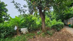 Harga termurah Kavling Pergudangan di Kompleks DPR Cipondoh Tangerang lokasi di Cipondoh, tersedia melalui melalui situs Olx