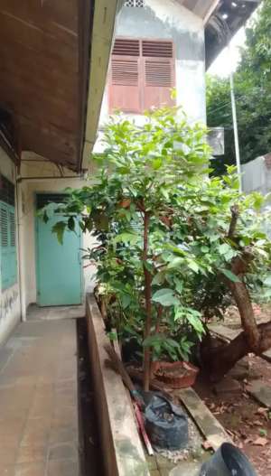 JUAL CEPAT Hitung Tanah di Karang Tengah Ciledug Dkt Jln Raya Nego lokasi di Ciledug, tersedia melalui melalui situs Olx