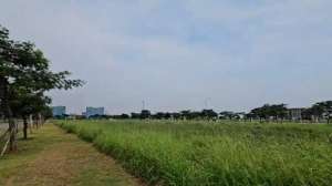 Jual Cepat Lahan Tanah Kavling Hook Komersial di PIK 2 Thamrin lokasi di Tanjung Priok, tersedia melalui melalui situs Olx